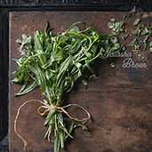 Bundle of fresh Italian herbs